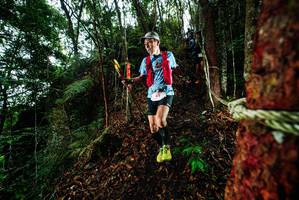 BIB: 
                            <button type="button" onclick="openModal(26197993)" class="btn btn-primary btn-sm float-right btn-popup" data-toggle="modal" data-target=".modal-high-quality">
                        <i class="fas fa-shopping-cart"></i> Add to Cart
                    </button>
                                            <button type="button" onclick="isThisMe(26197993, true)" class="btn btn-success btn-sm float-right btn-popup btn-isme hidden" data-toggle="tooltip" data-placement="bottom" title="นี่คือรูปของคุณใช่ไหม คลิกที่นี่เพื่อเอาเข้าอัลบั้ม">
                        <i class="fas fa-plus"></i> Add to album
                    </button>
                    <button type="button" onclick="isThisMe(26197993, false)" class="btn btn-warning btn-sm float-right btn-popup btn-isnotme hidden">
                        <i class="fas fa-ban"></i> Remove from album
                    </button>